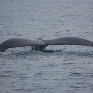 Meet your Posher, Gina